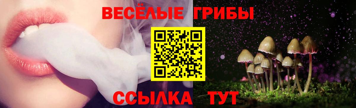 Псилоцибиновые грибы Psilocybine cubensis Азов